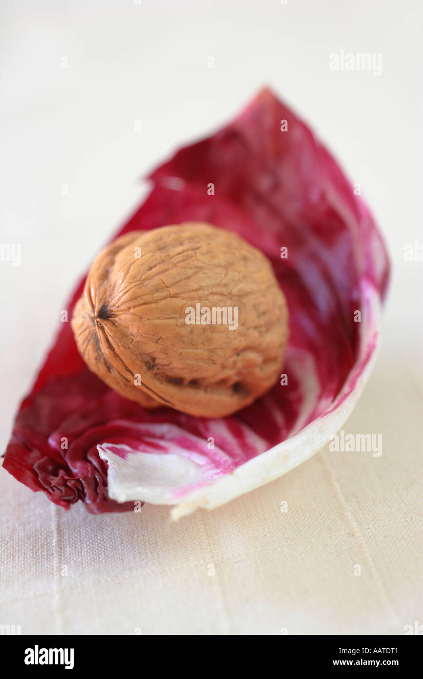 Walnut on a radicchio leaf Stock Photo