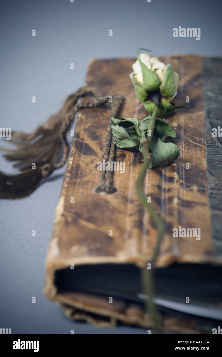 Vintage old photo album and a dried rose Stock Photo - Alamy