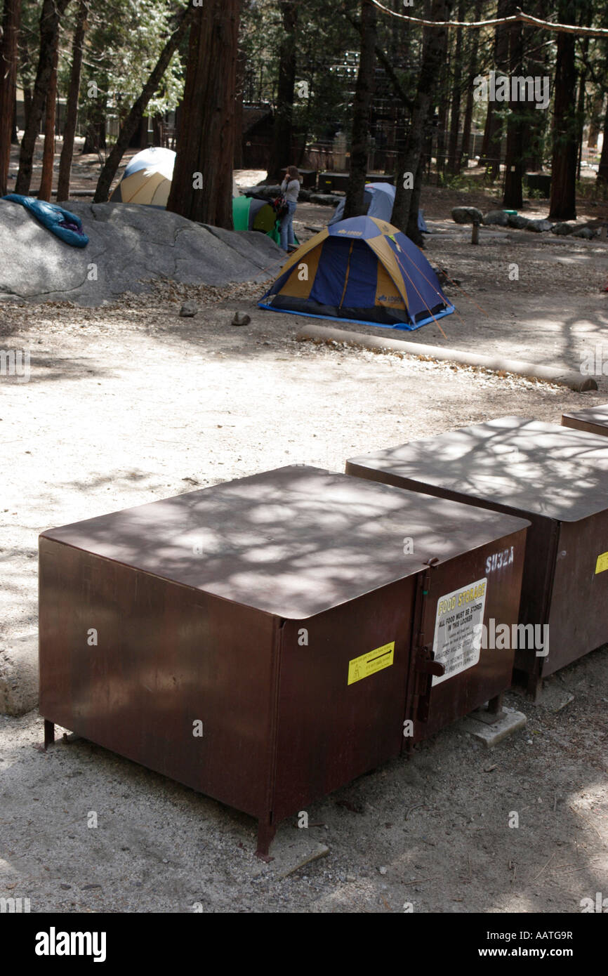 Bear boxes bear resistant food storage containers for campers in campsite  Yosemite National Park California USA Stock Photo - Alamy