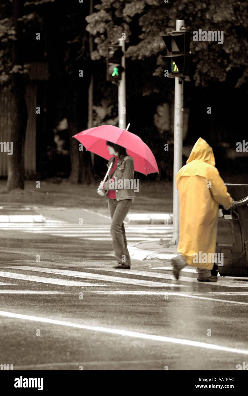 Woman with Red Umbrella Crossing the Street in the Rain Stock Photo - Alamy