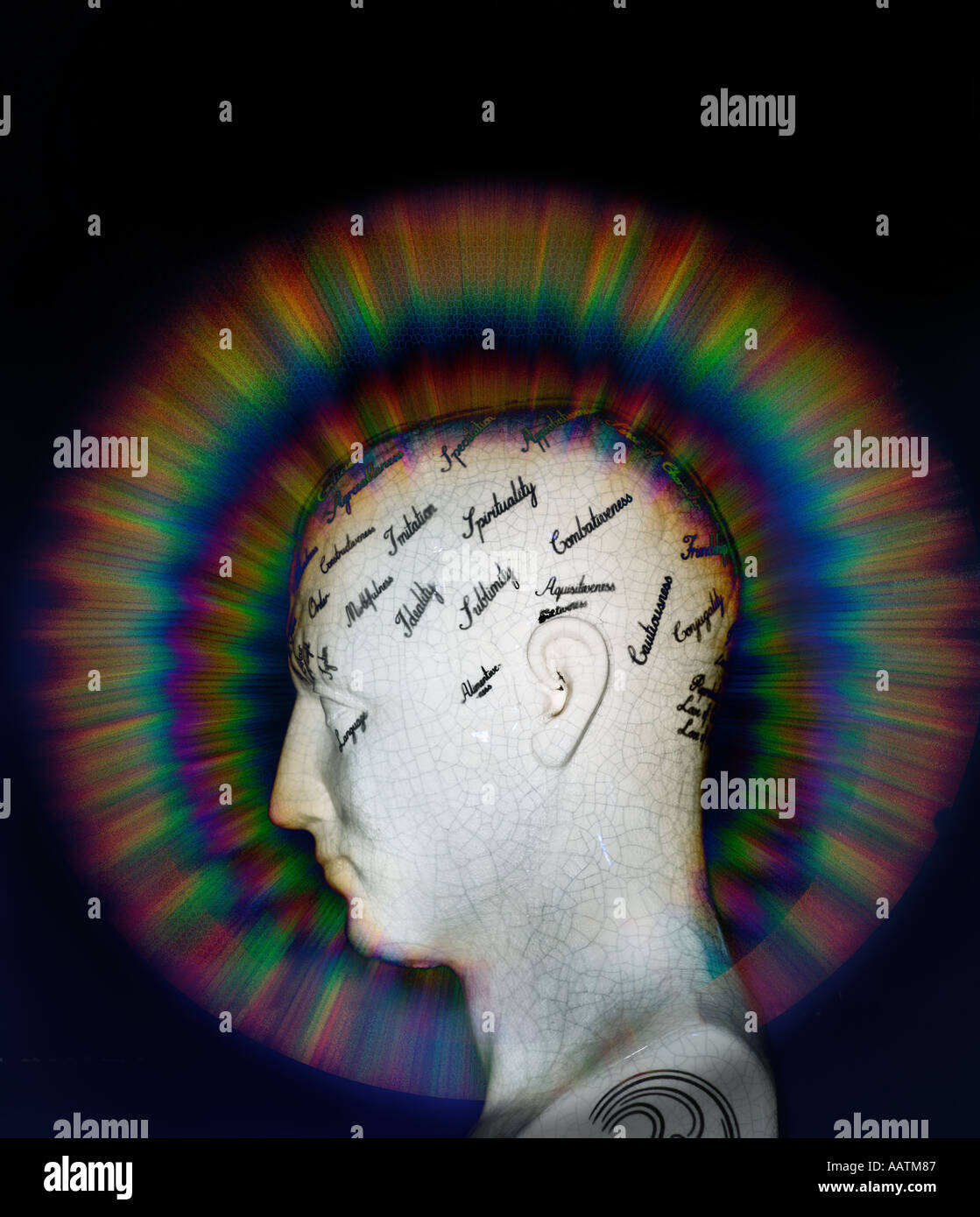 phrenology and glow Stock Photo