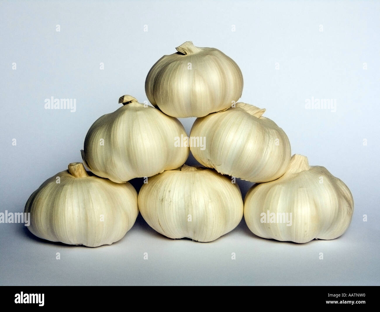 Garlic bulbs. Stock Photo