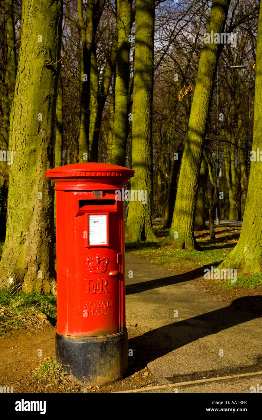 Red Pillar Box in Avenue of Trees Stock Photo Alamy