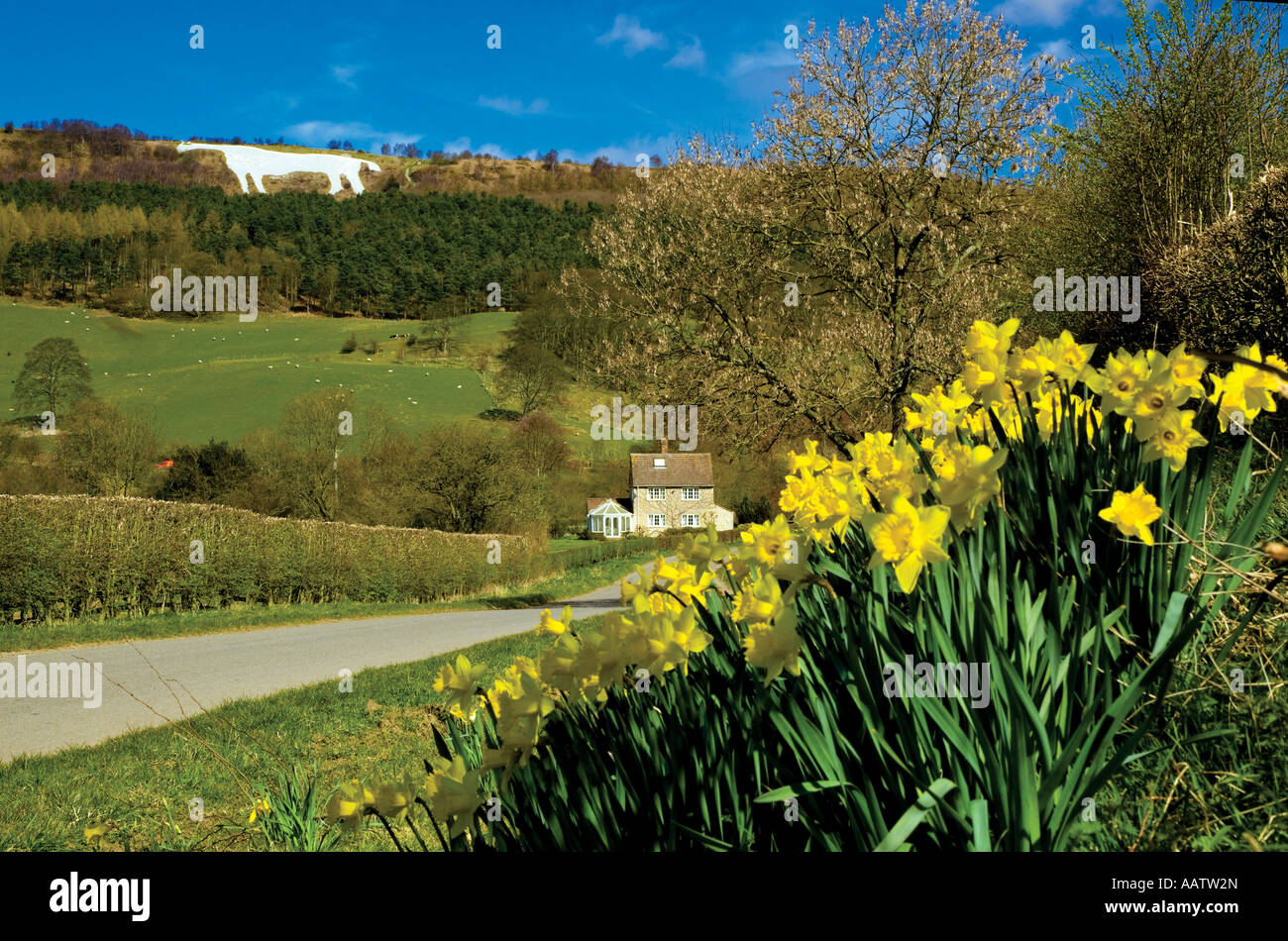 The White Horse near Kilburn Hambleton North Yorkshire Stock Photo Alamy