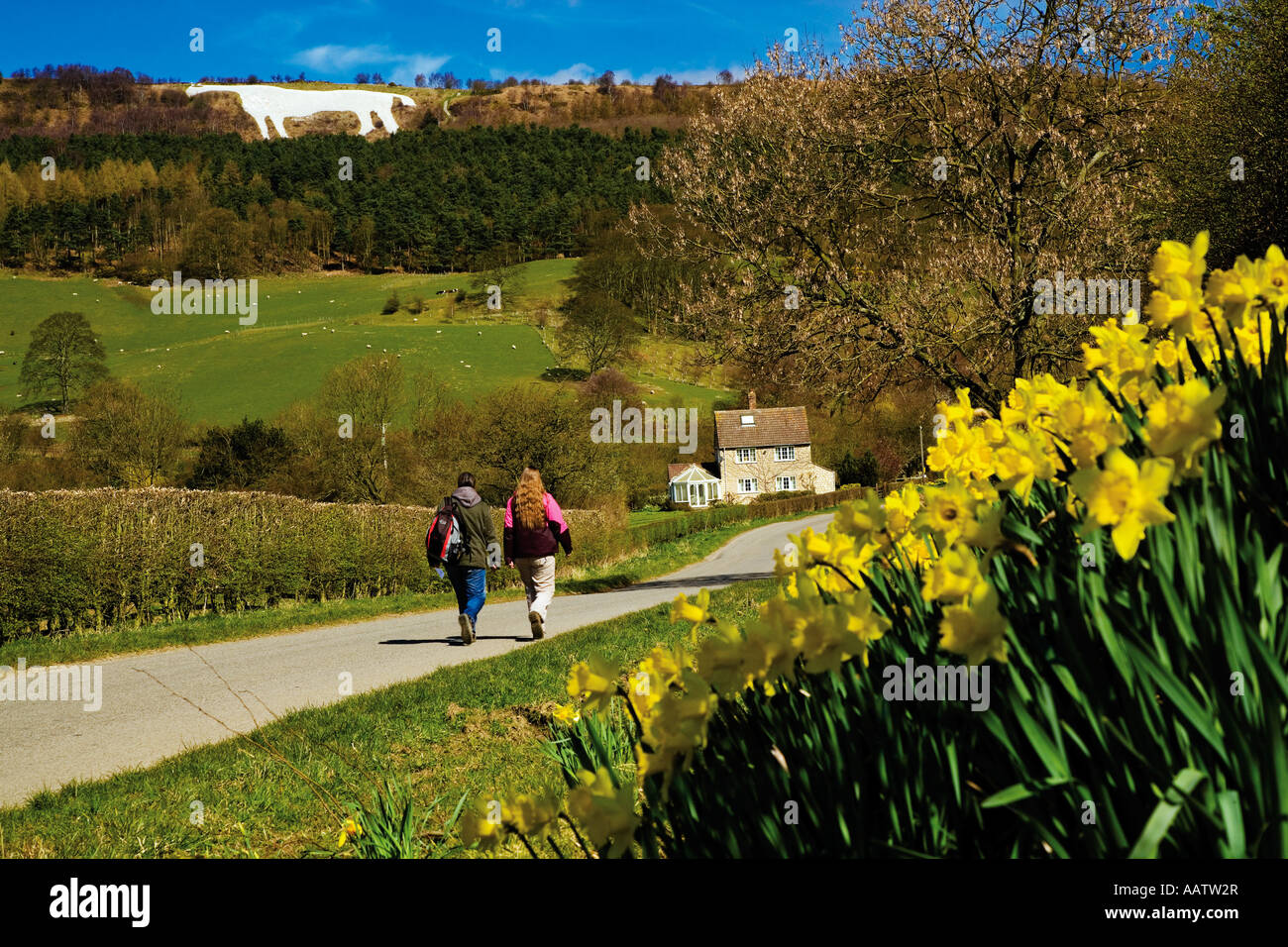 The White Horse near Kilburn Hambleton North Yorkshire Stock Photo Alamy