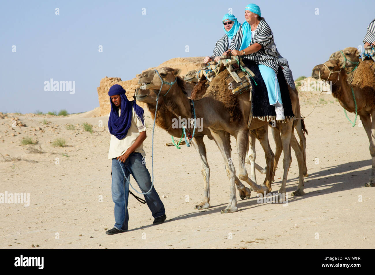 https://c8.alamy.com/comp/AATWFR/mrazig-guide-in-modern-clothing-leads-british-tourists-riding-camels-AATWFR.jpg