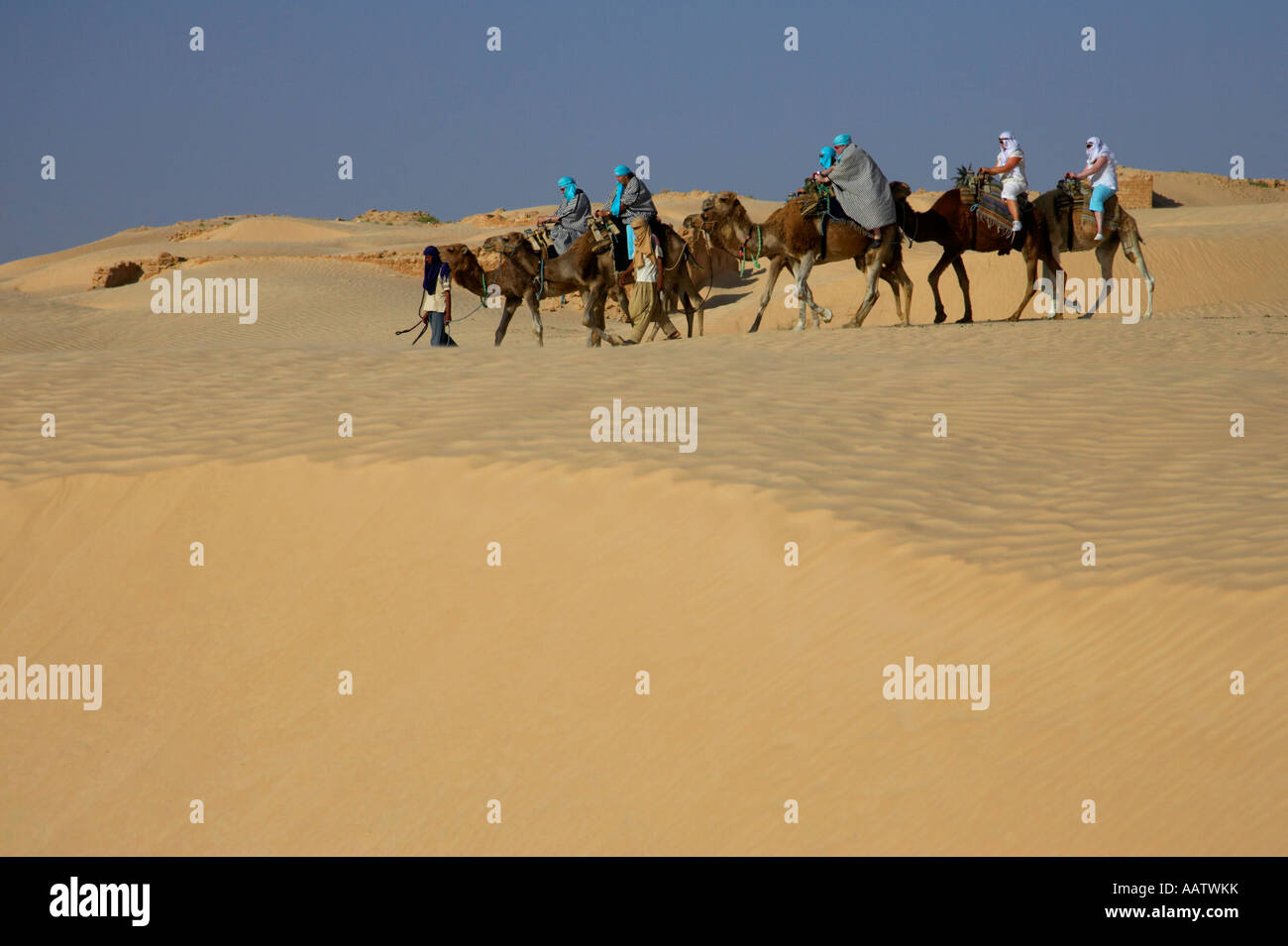 group of tourists in desert dress on camel back being taken through the sand dunes and ruins sahara desert at Douz Tunisia Stock Photo