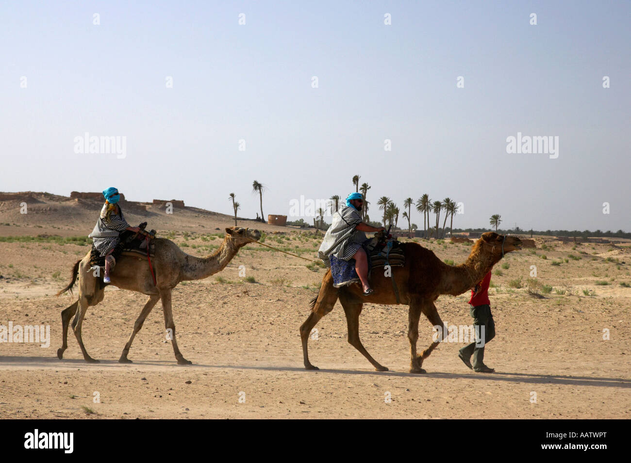 british tourists on a camel trip sahara desert at Douz Tunisia Stock Photo