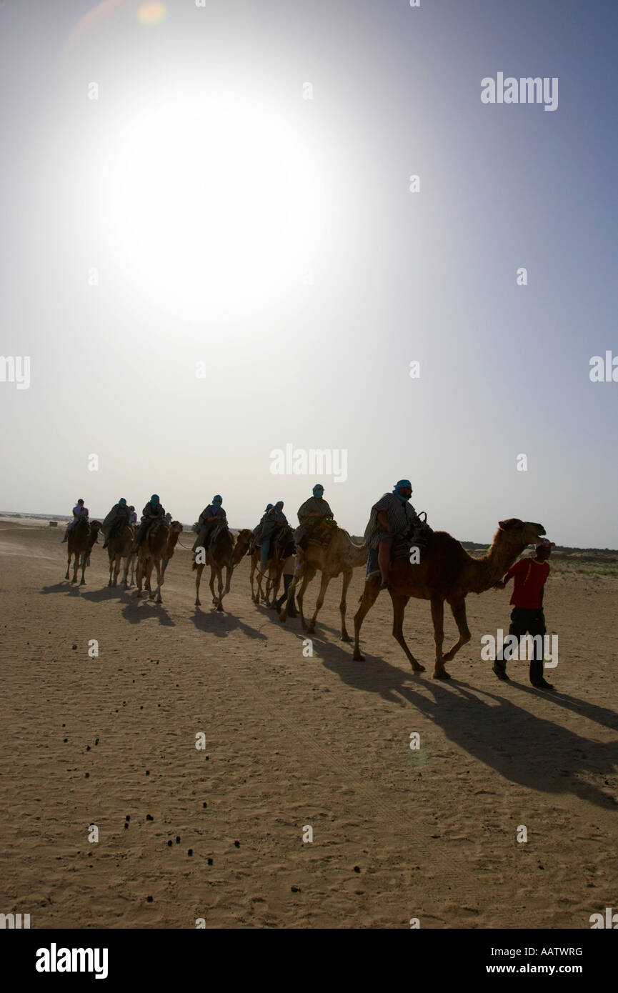 vertical hot sun beating down on sands and camel train in the sahara desert at Douz Tunisia Stock Photo