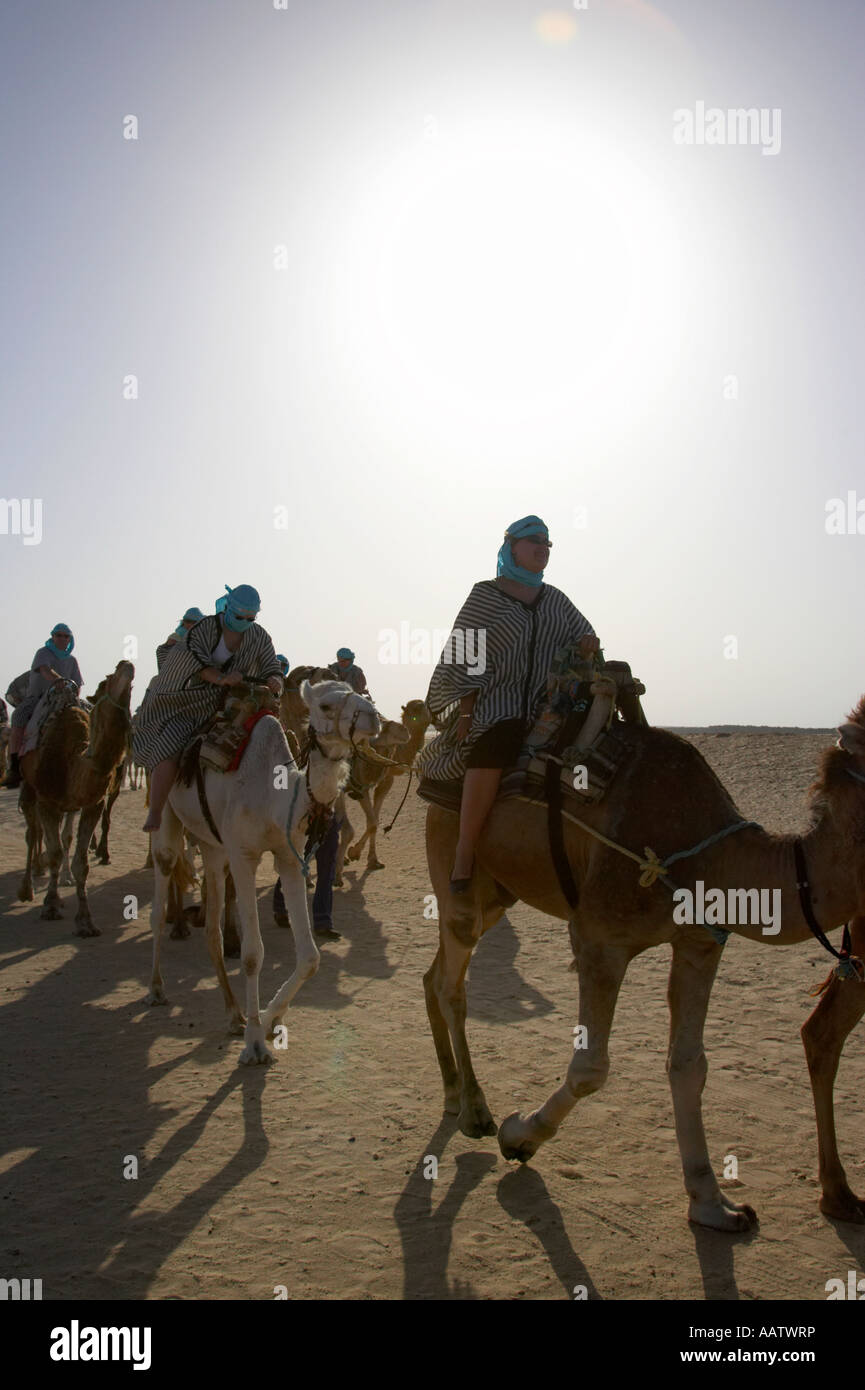 sun shining down on camel train of tourists in the sahara desert at Douz Tunisia Stock Photo