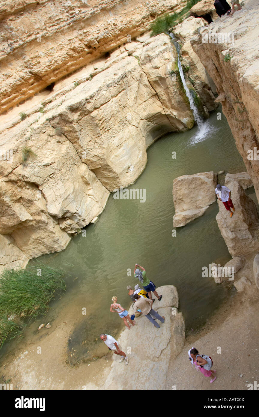 overhead view of tourists in the water at the Great Waterfall in the canyon at tamerza oasis in the mountains tunisia Stock Photo
