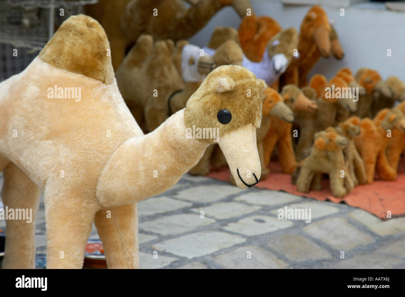 large soft toy stuffed camel souvenir at market stall in nabeul tunisia Stock Photo