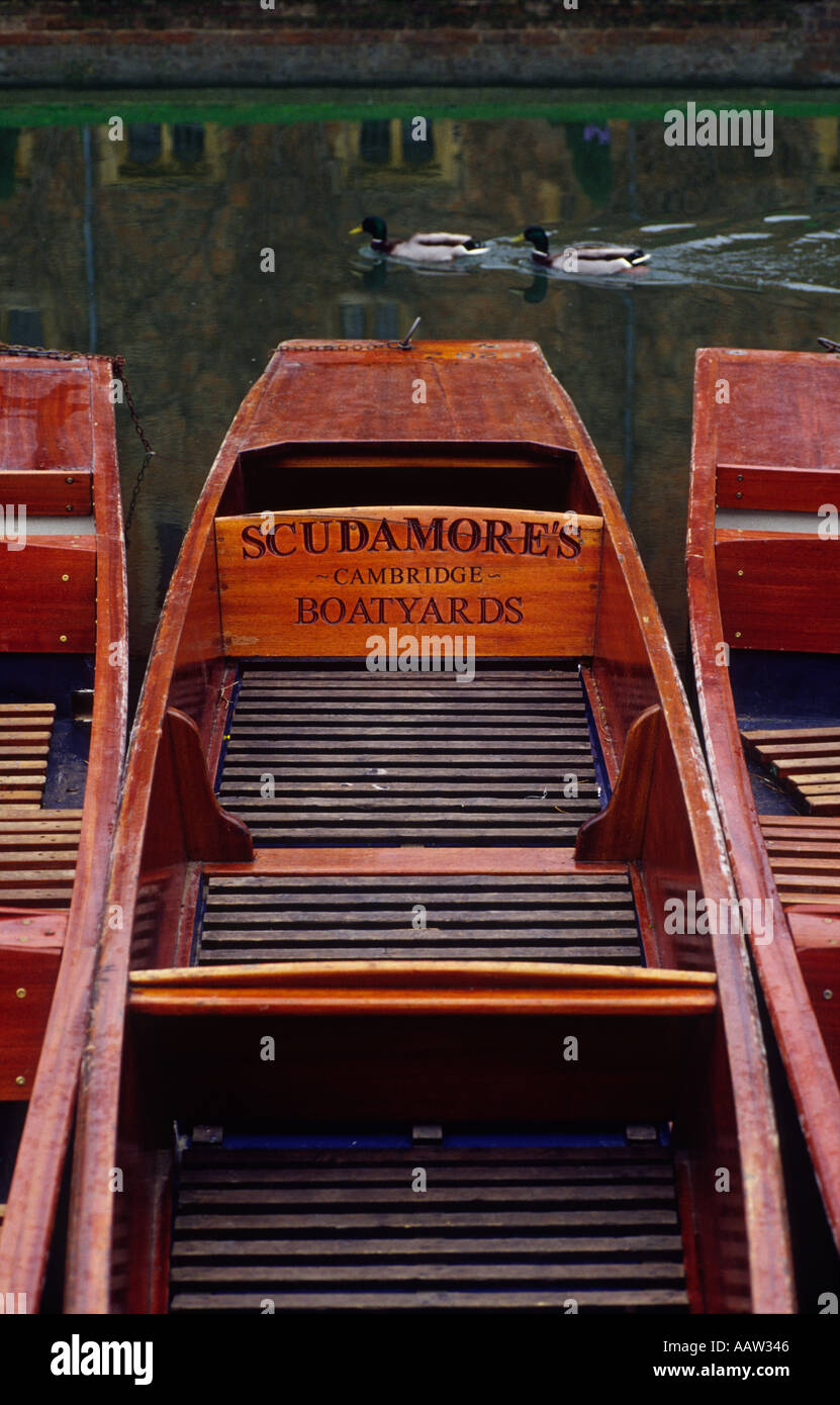 Punts on the River Cam at Cambridge Cambridgeshire England Stock Photo