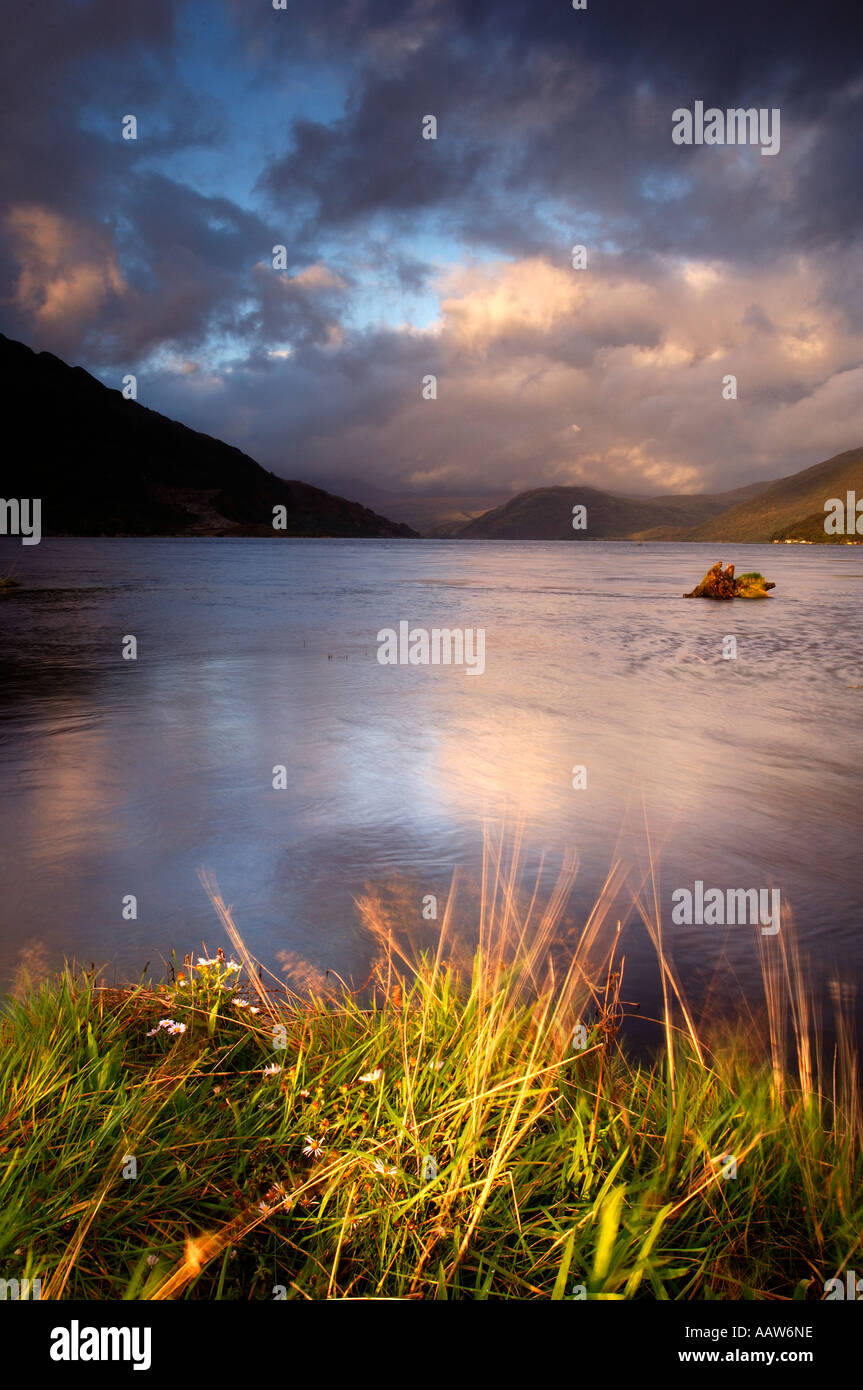 Late evening view of southern end of Loch Etive near Bonawe Taynuilt in the Scottish Highlands with threatening low cloud Stock Photo