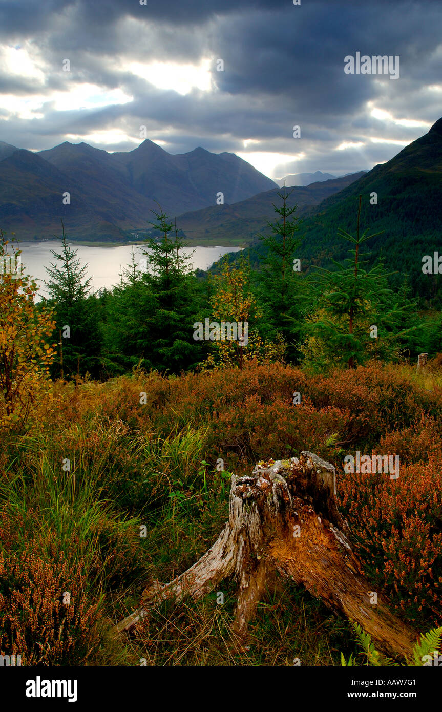 Viewpoint in Scottish highlands overlooking Loch Duich at Shiel Bridge with The Five Sisters Of Kintail mountain range behind Stock Photo