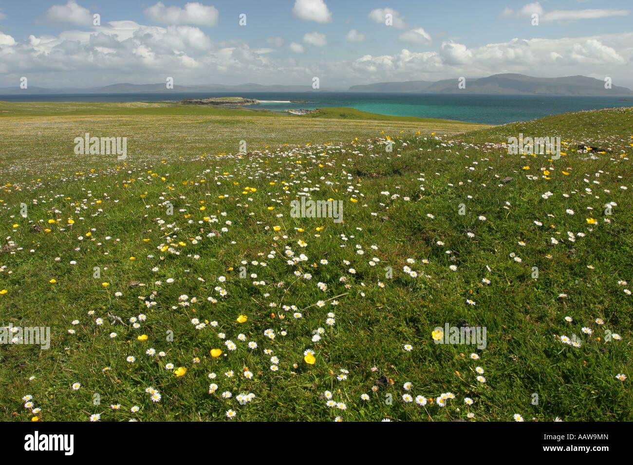 Machair Grassland on the North Coast of the Isle of Iona Scotland Stock Photo