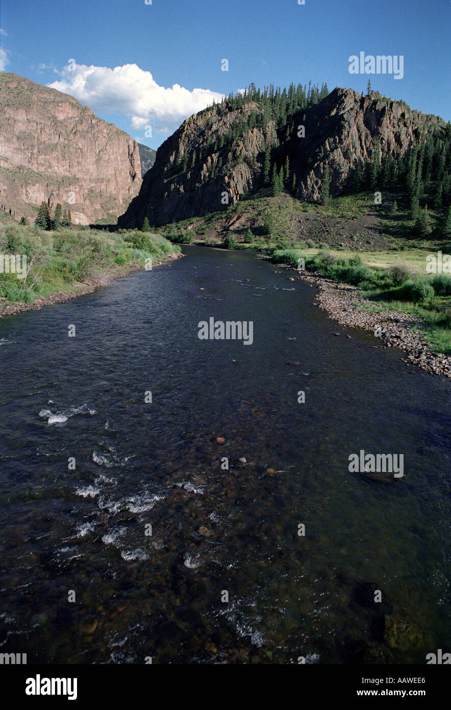 The Rio Grande River Near Its Source In Colorado Stock Photo Alamy