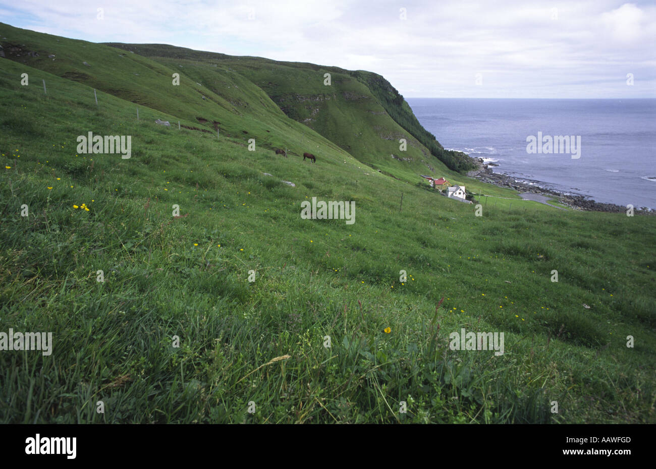 Pasture-land Stock Photo