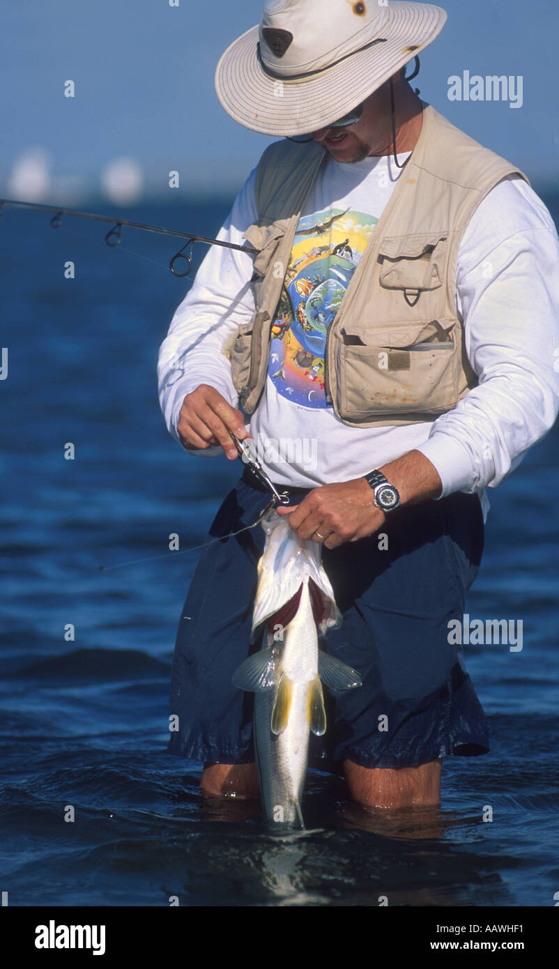 Man removing lure from caught fish Snook Centropomus udecimalis while fishing in the Indian River Lagoon Stock Photo