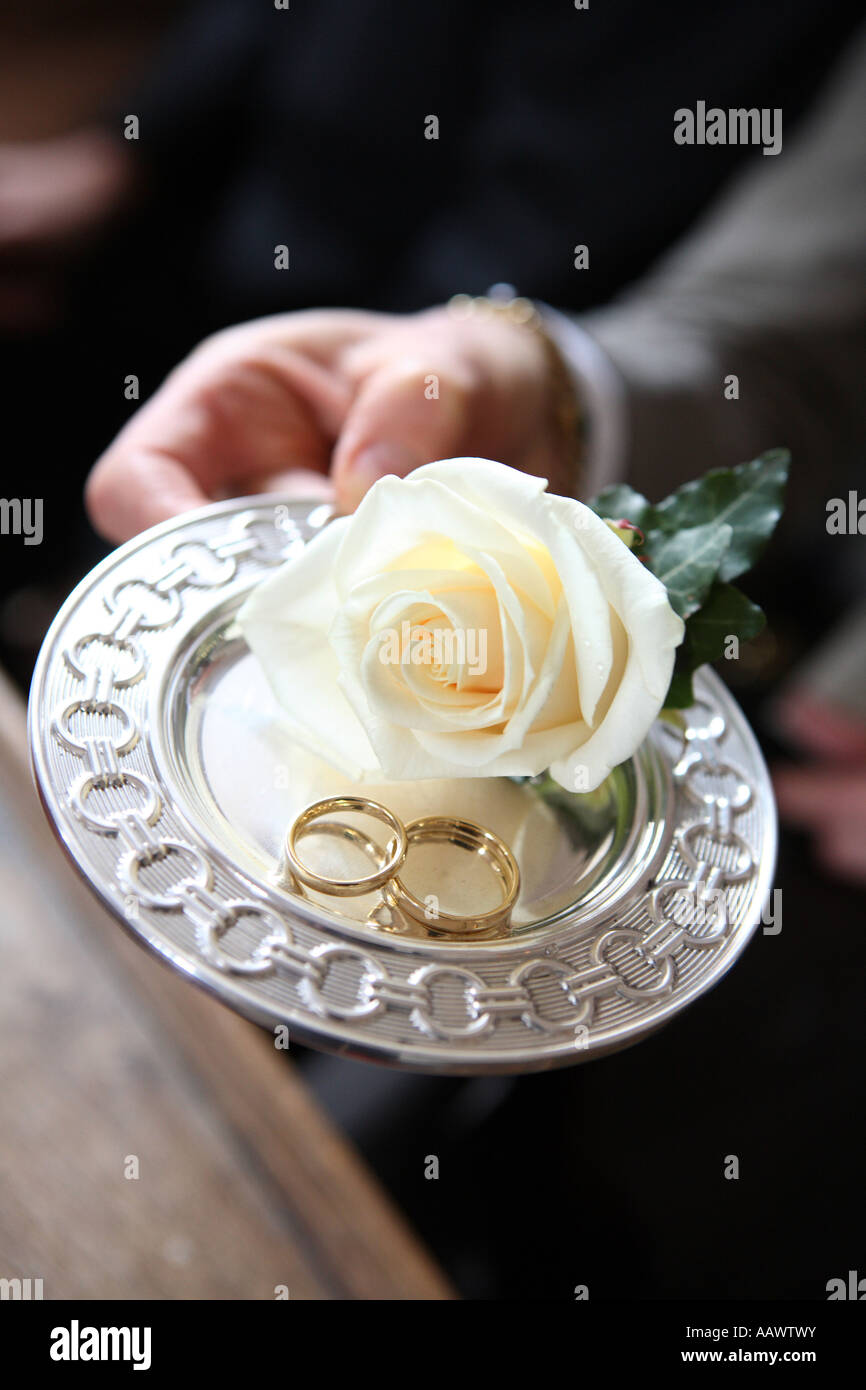 A silver plate with two wedding rings decorated with a white rose Stock Photo