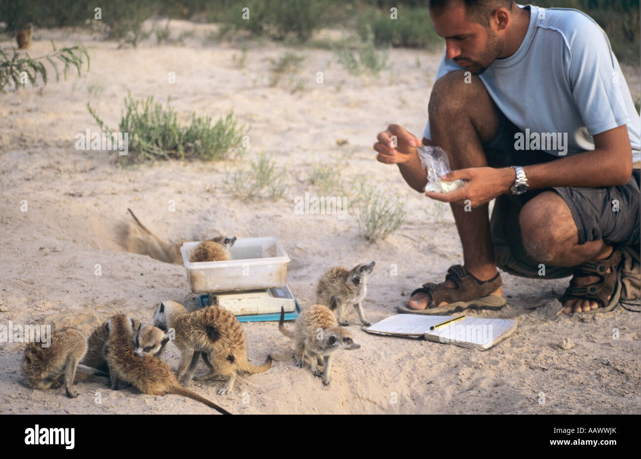 Zoologist Helping Animals