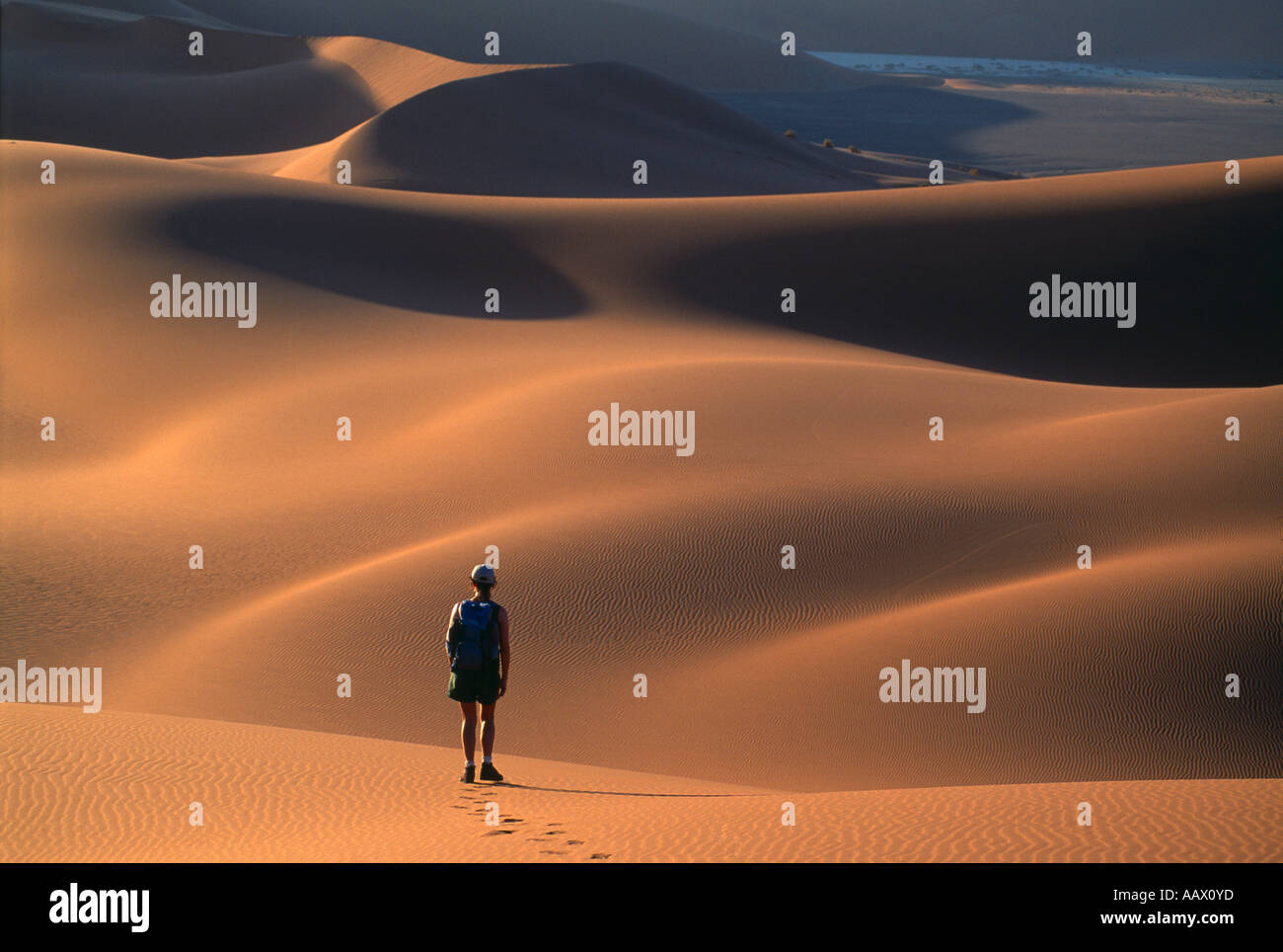 solitary woman trekking in the Namib Desert Namibia Stock Photo