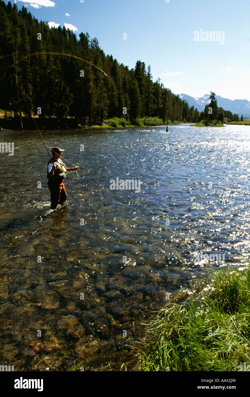 Fly fishing Snake River Idaho Stock Photo Alamy