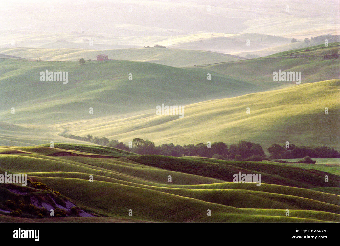 First Light Val D Orcia Tuscany Italy Stock Photo