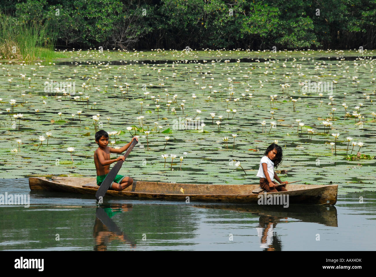 Indigenous sibling paddling in traditional boat on Rio Dulce in front of water lilies, Guatemala, Central America Stock Photo