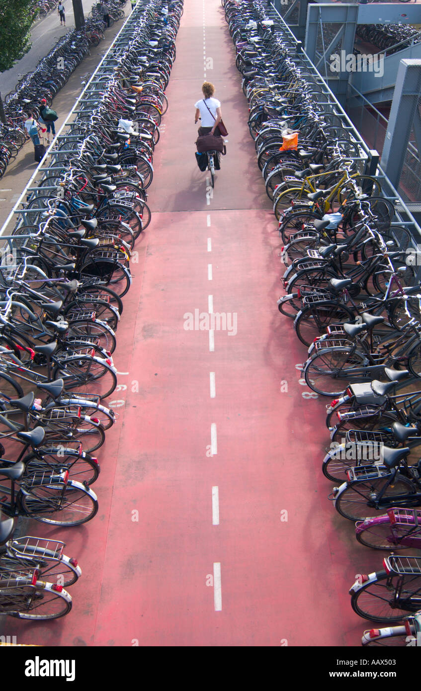 bicycle parking lot in Amsterdam the Netherlands Stock Photo Alamy