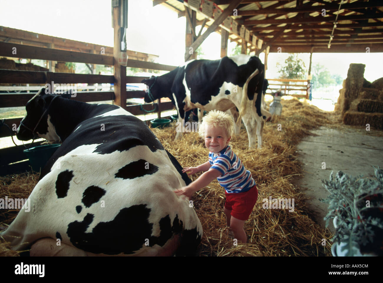 Sussex County Farm and Horse Show NJ Stock Photo Alamy