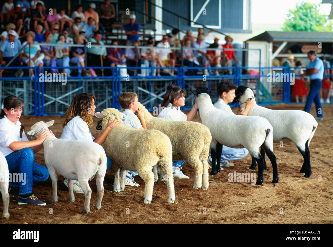 Sussex County Farm and Horse Show NJ Stock Photo Alamy