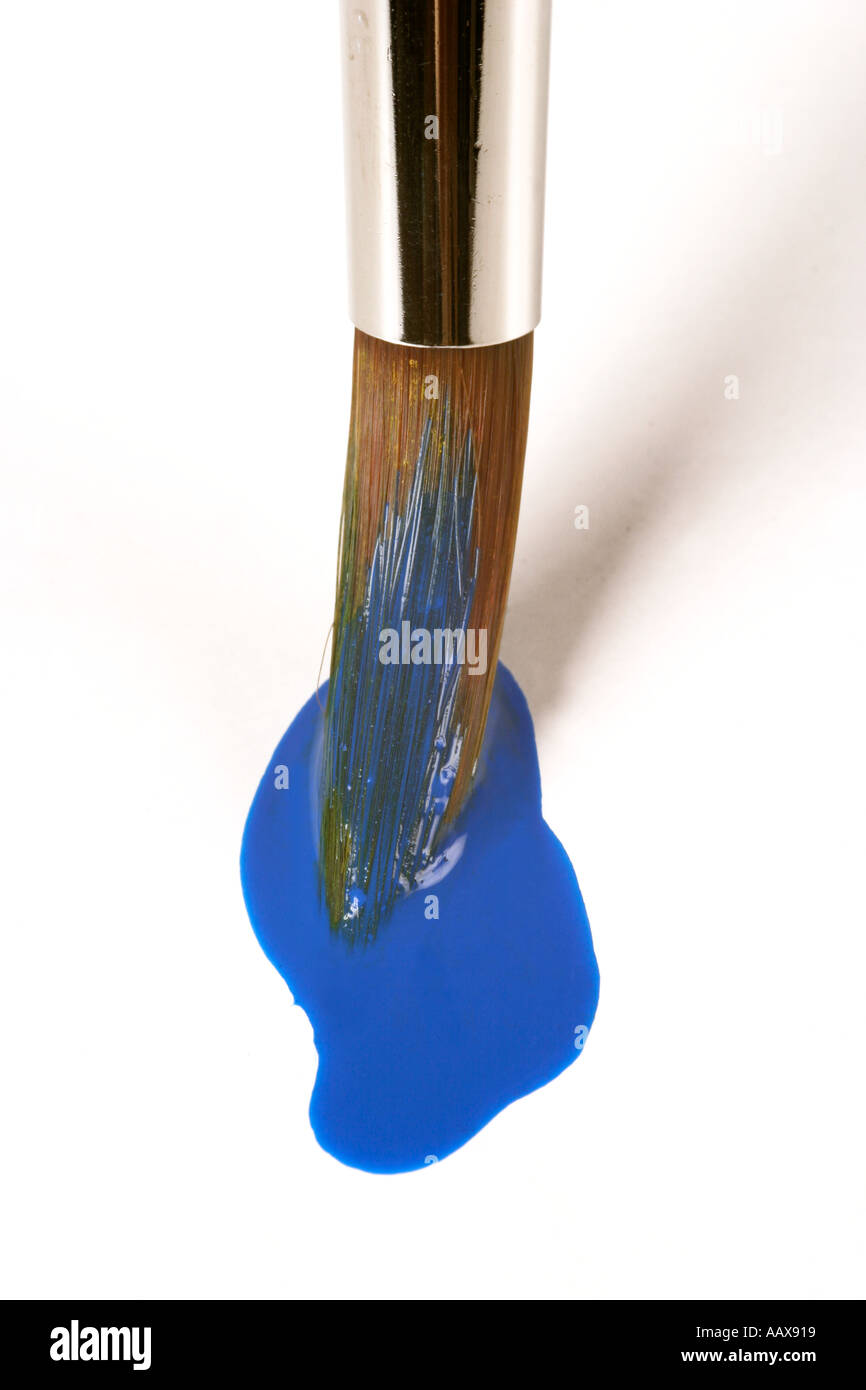 Paint brush and blue paint on a white background Stock Photo - Alamy