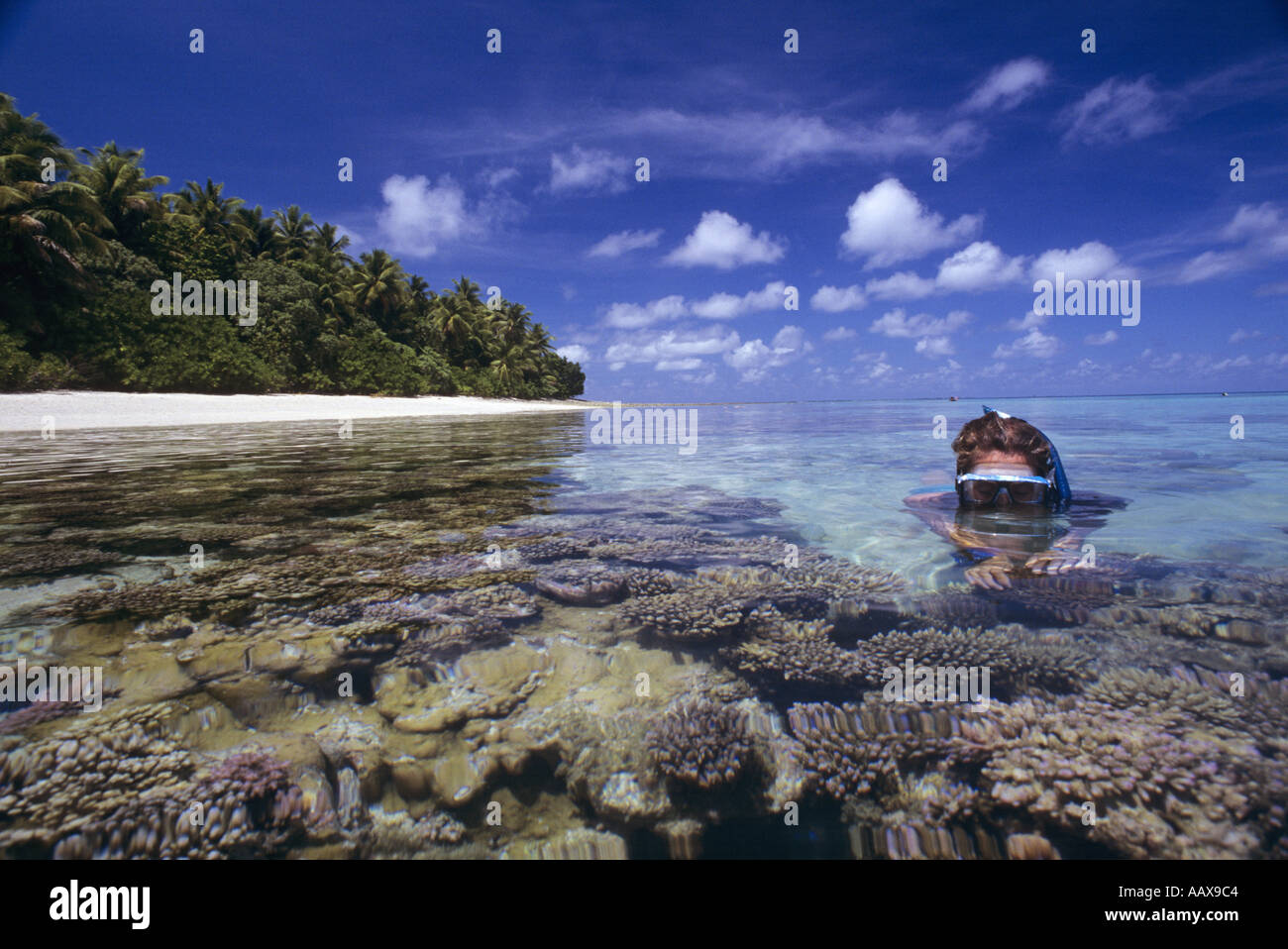 Snorkeller on shallow coral reef in the western pacific near the marshall islnds Stock Photo