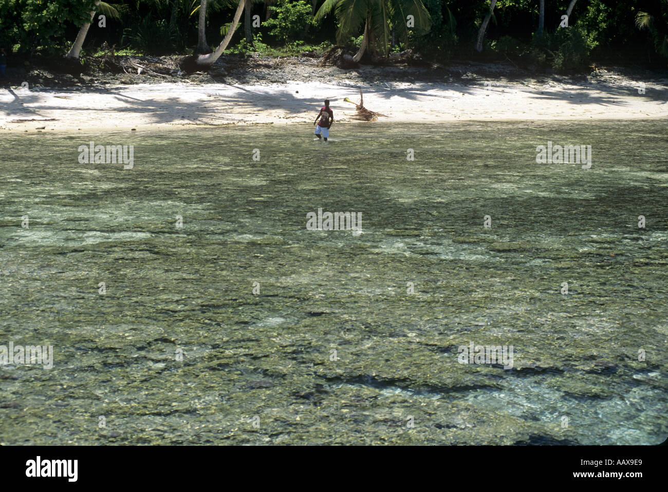 Shallow coral reef at low tide Stock Photo