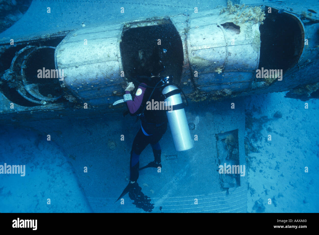 Diver exploring wreck of Douglas Devastator in the Western Pacific at Jaluit Atoll Stock Photo
