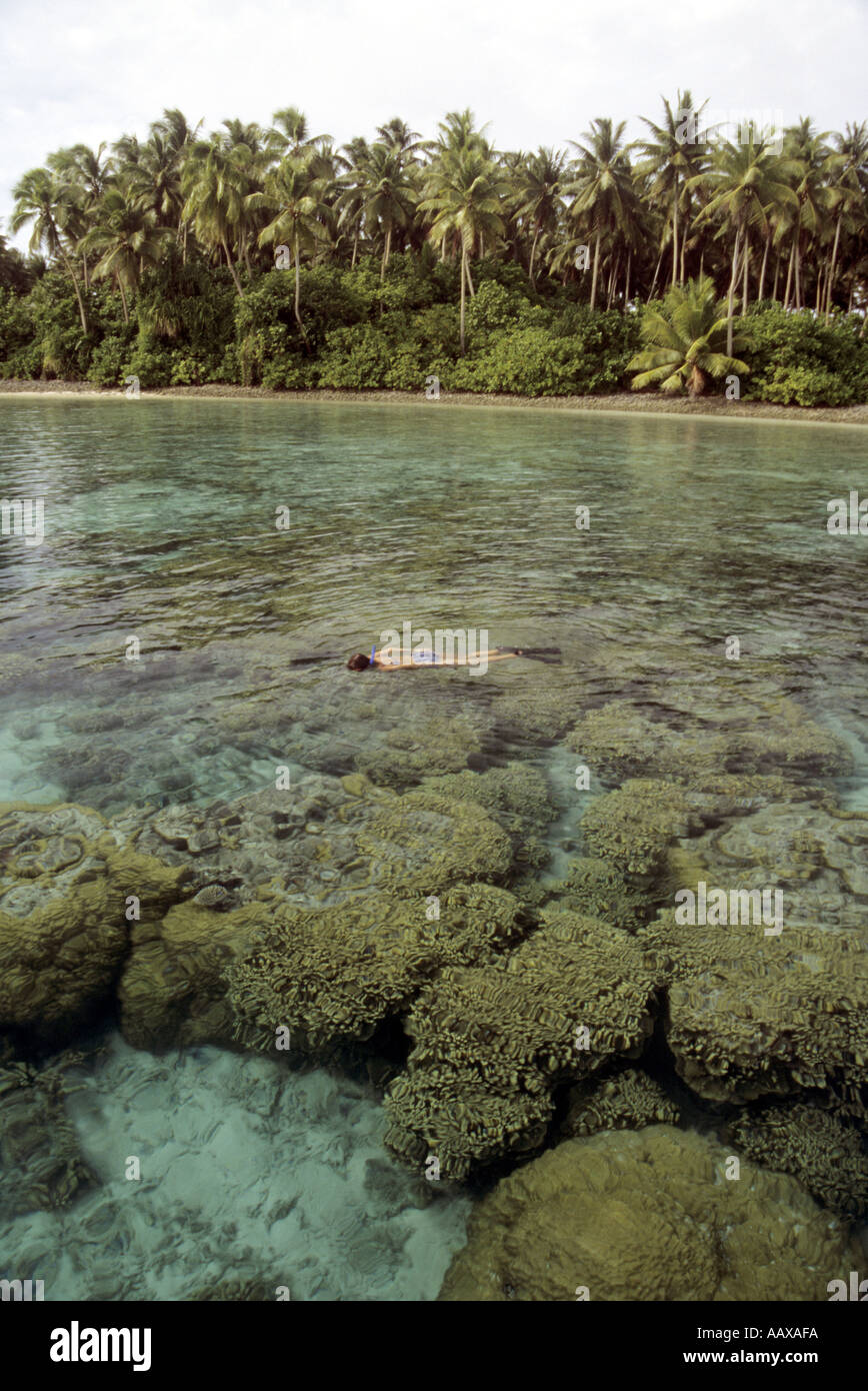 shallow corals and reefs of the Marshalls Stock Photo
