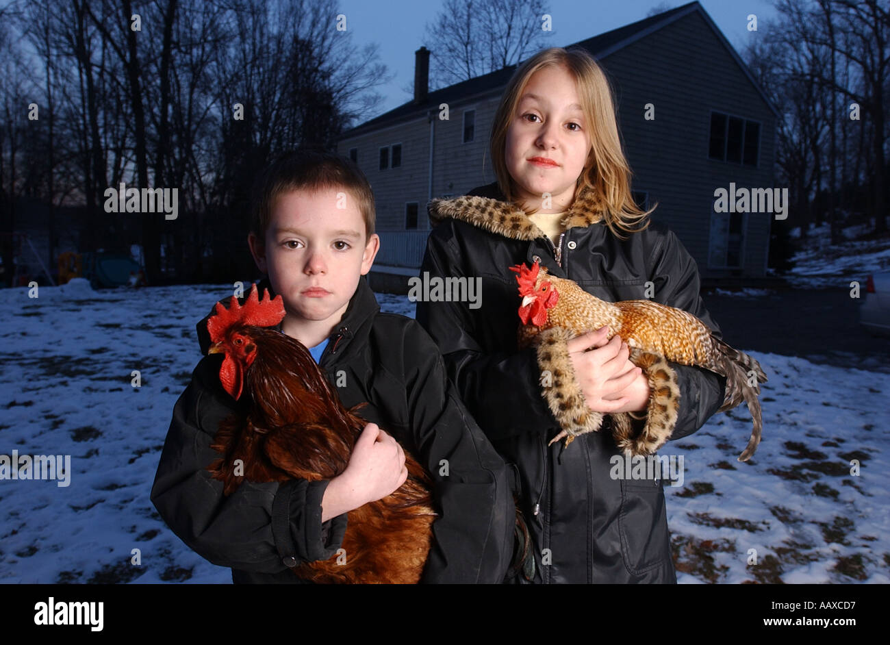 A small boy and young girl holding roosters chickens hens as their pet in front of home Stock Photo