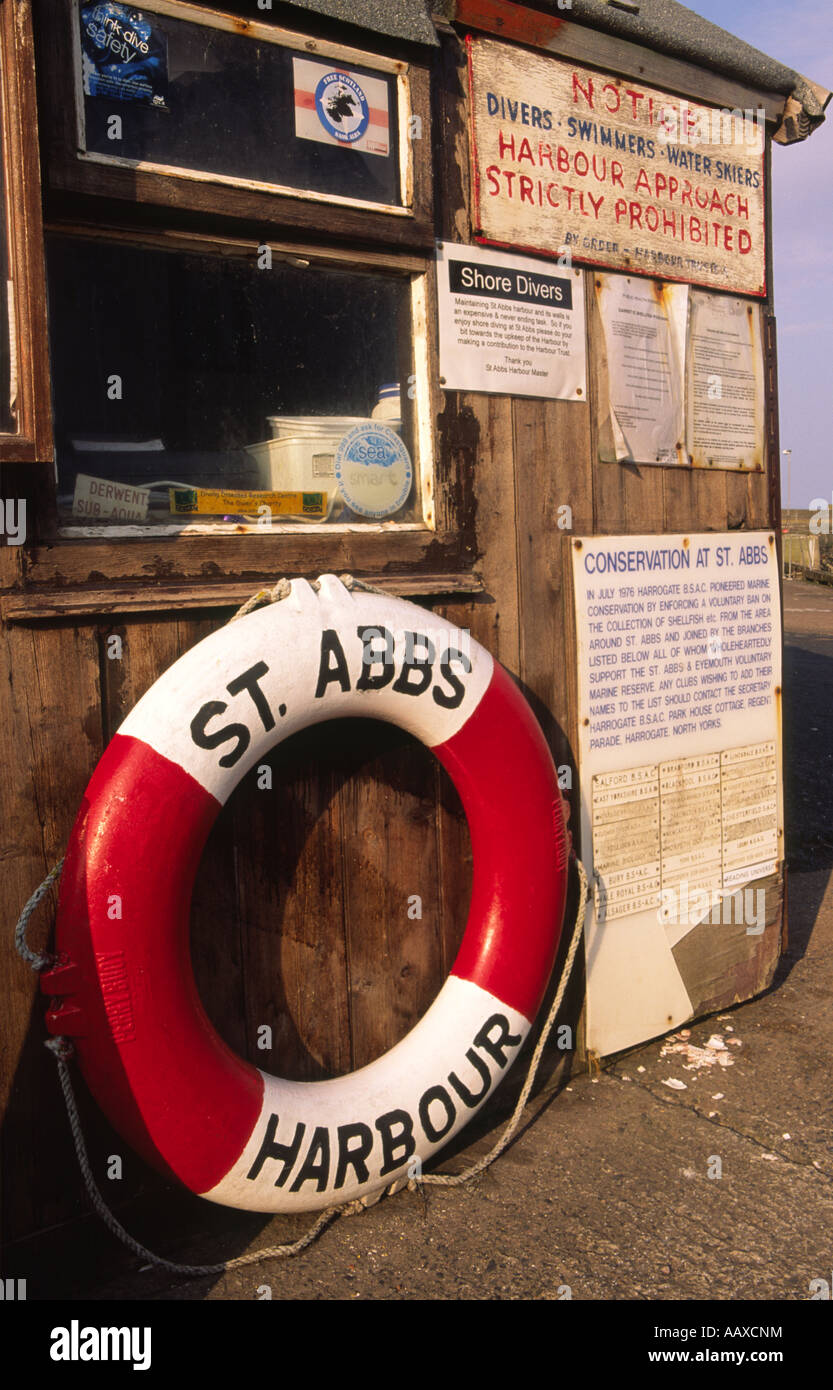 Dive st abbs hires stock photography and images Alamy
