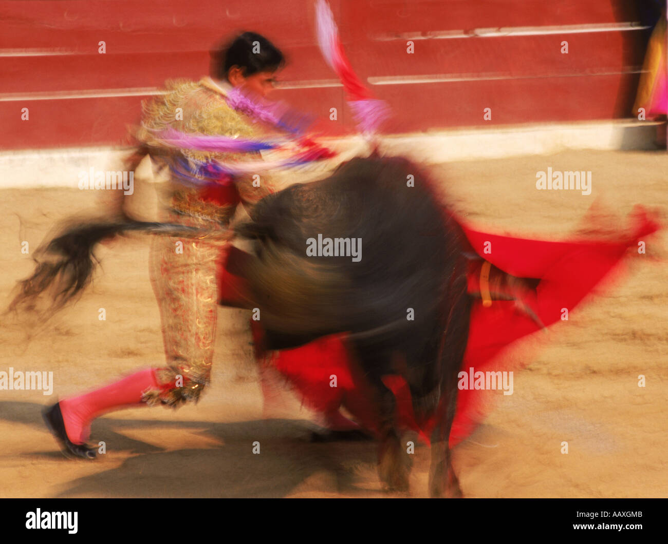 Bull and horn just missing matador during bullfight Stock Photo