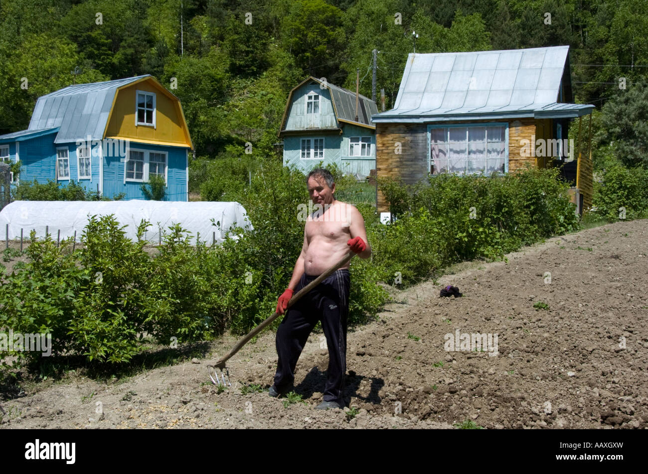 Man working in garden of his Dacha in rural Sakhalin Island Russia Stock Photo
