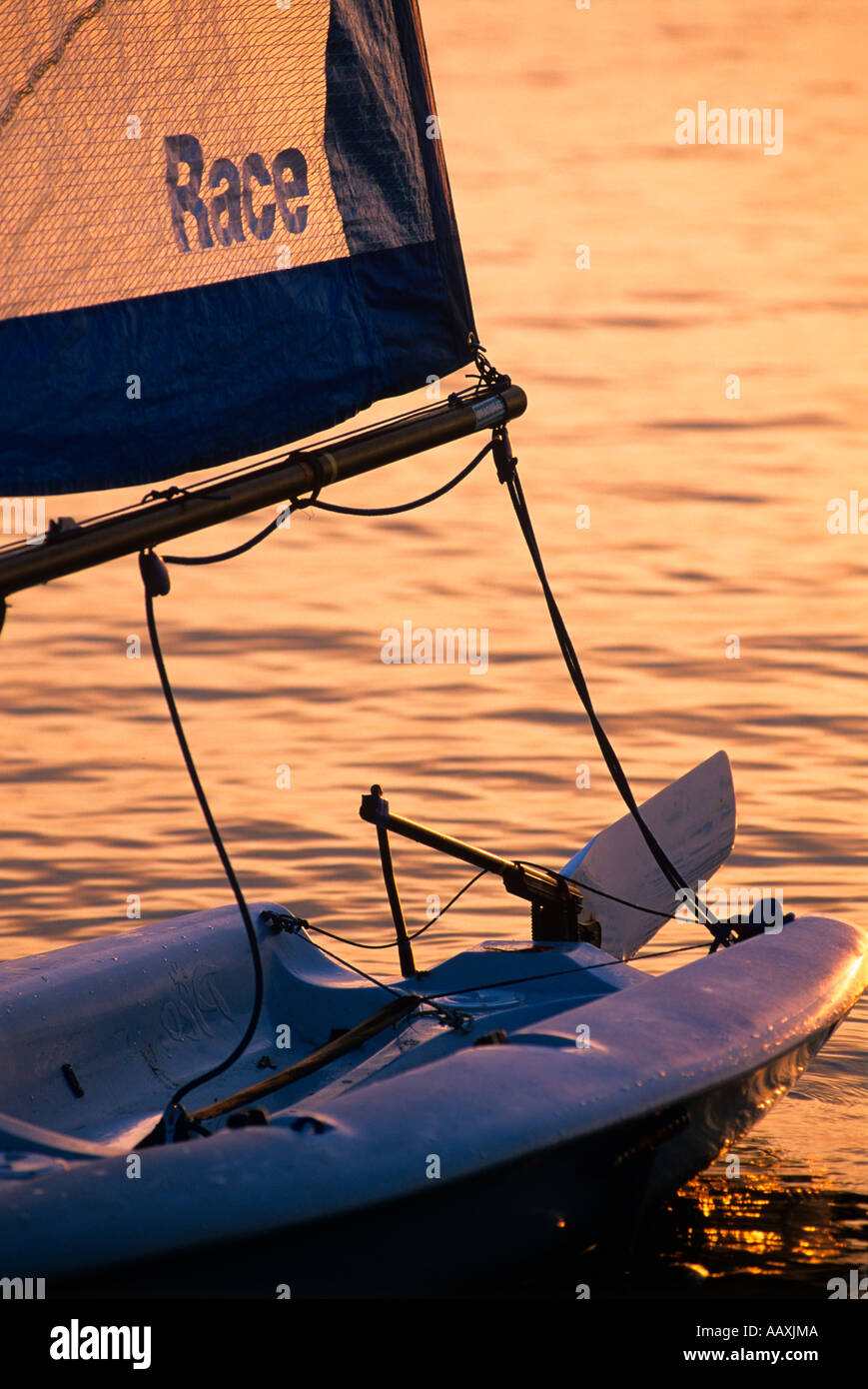 dinghies racing and sailing in the solent on the isle of wight gurnard