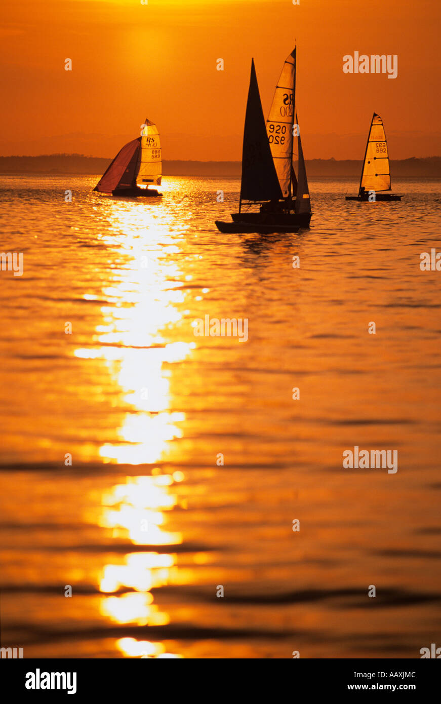 dinghies racing and sailing in the solent on the isle of wight gurnard