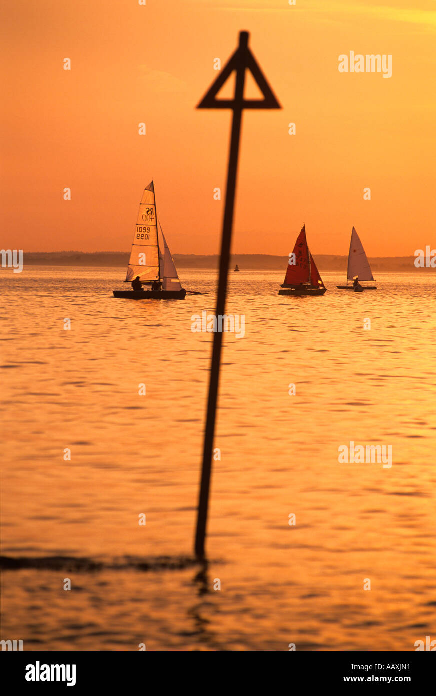 dinghies racing and sailing in the solent on the isle of wight gurnard