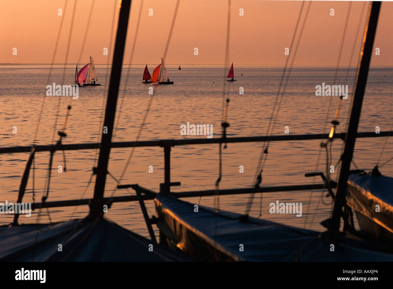 sailing regattas at cowes week on the isle of wight and gurnard sailing