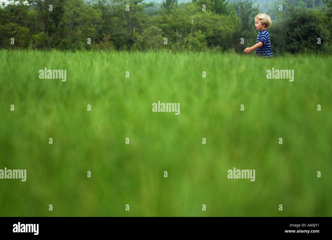 boy runs in grassy field Stock Photo