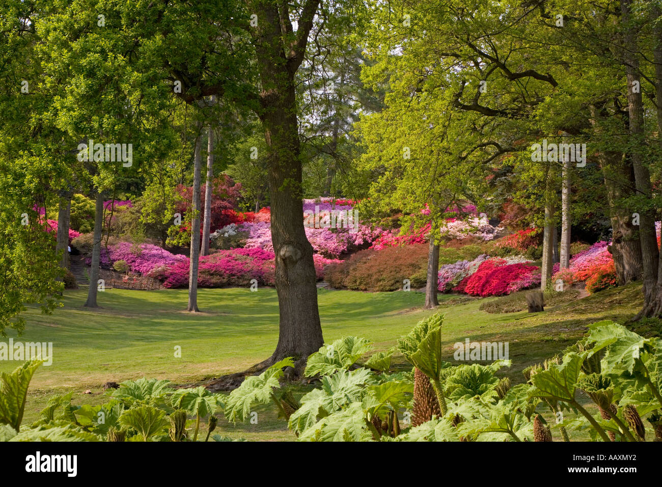 Punch bowl valley gardens hires stock photography and images Alamy