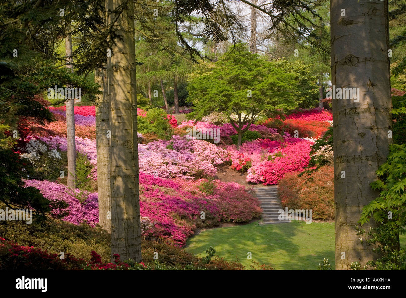 Valley gardens punch bowl hires stock photography and images Alamy