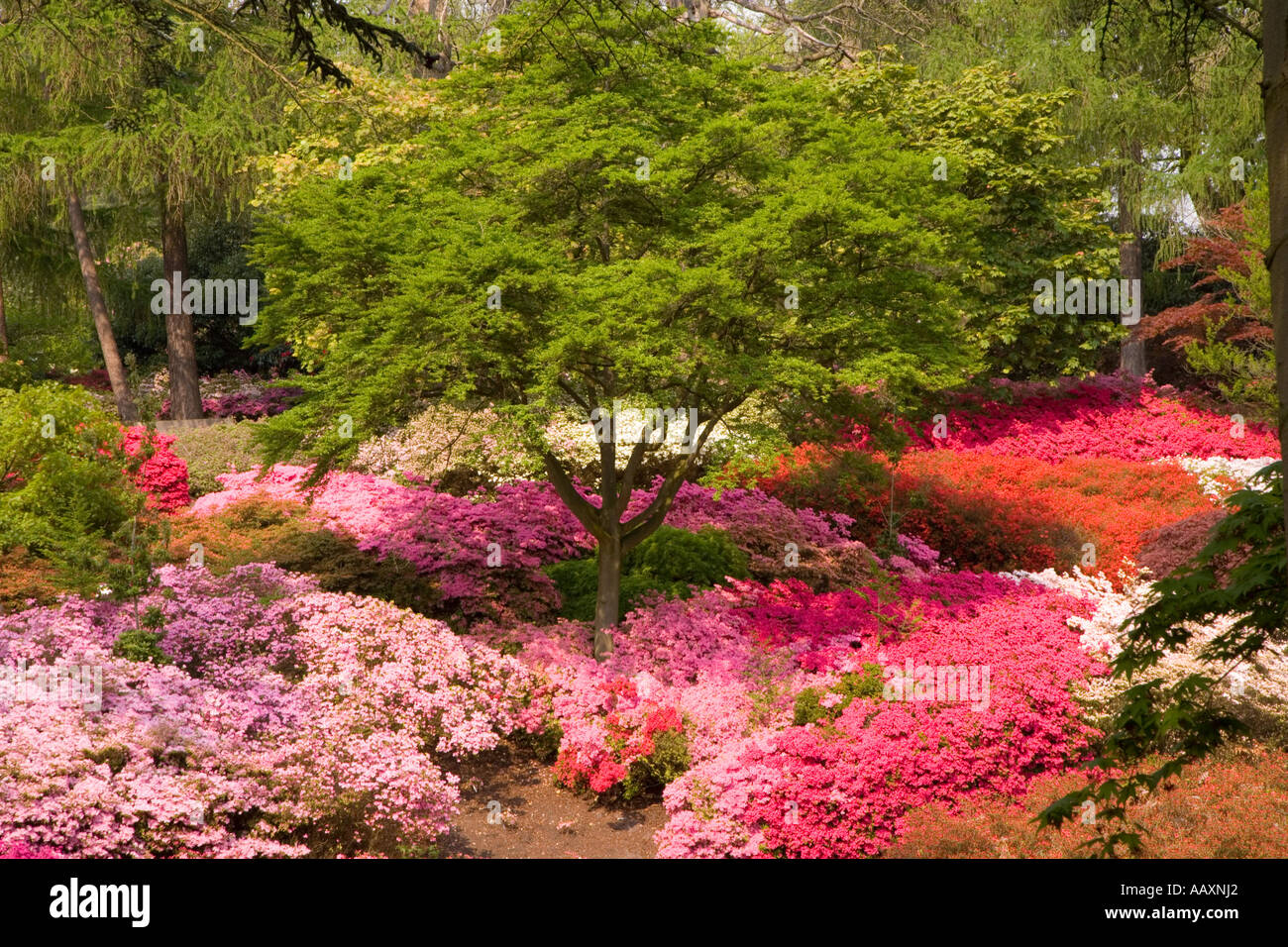 Punch bowl valley gardens hires stock photography and images Alamy