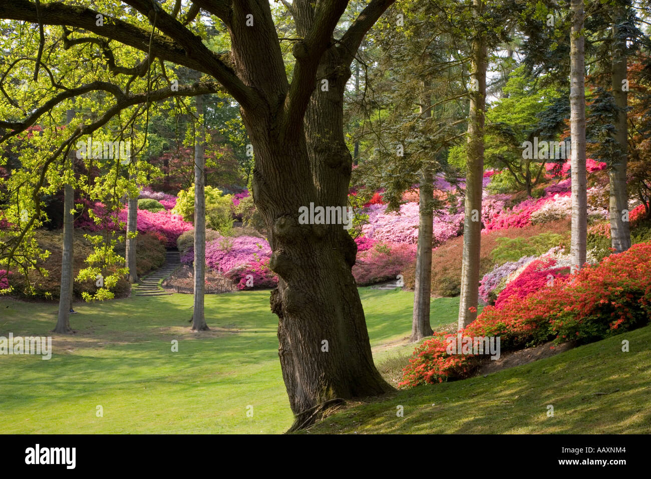 Grand punch bowl hires stock photography and images Alamy